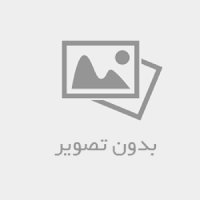 پاندا چت|چت|چت روم|چت پاندا|چت شلوغ